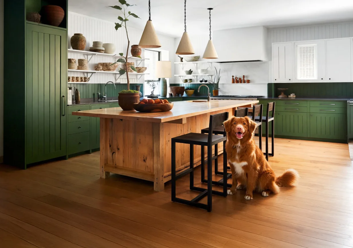 A dog in a sunlit green kitchen — Huntwell is real food made the way you'd cook at home.